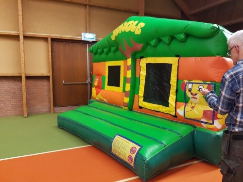 Springkussen Jungle Leeuw overdekt